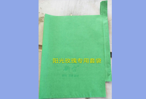 葡萄套袋(图1)