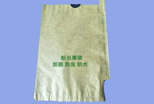 芒果套袋(图1)