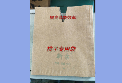 桃子套袋(图1)