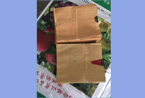 桃子套袋(图1)